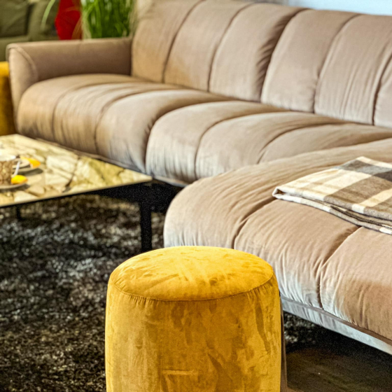 Talento Beige-3